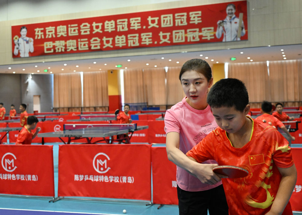 陈梦：竞技体育，没有捷径