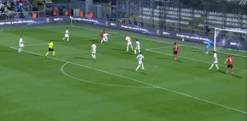 5.gif