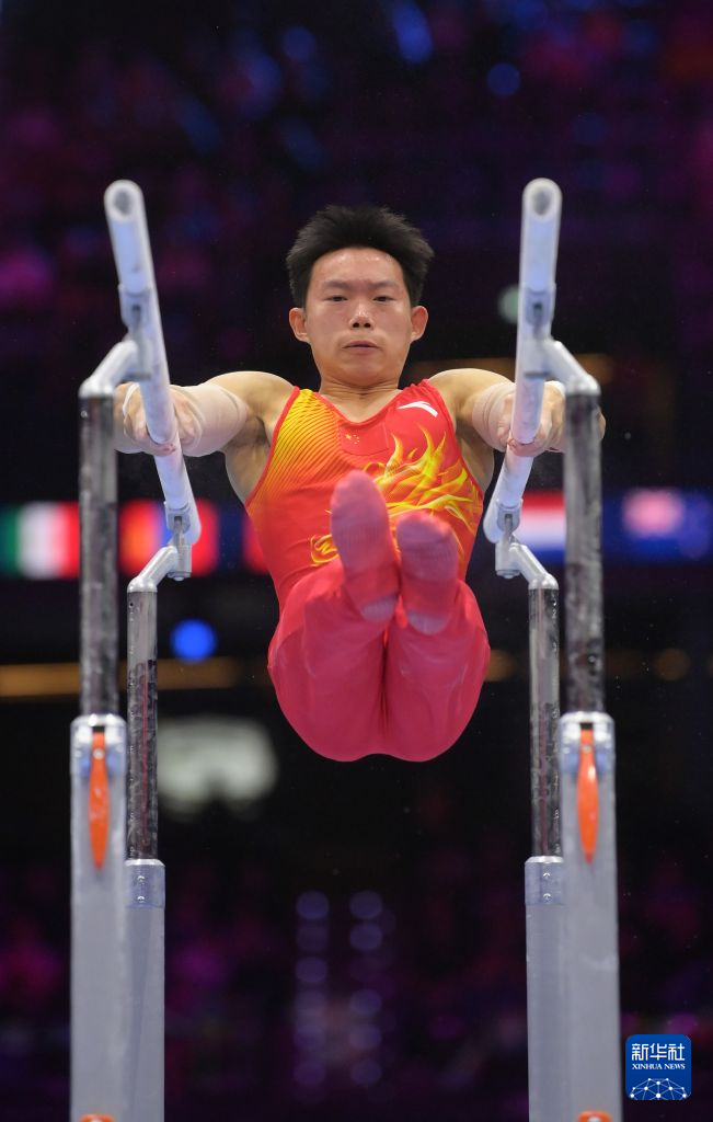 专业bbin宝盈集团服务
